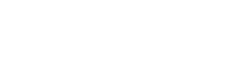 FlowForce Max logo